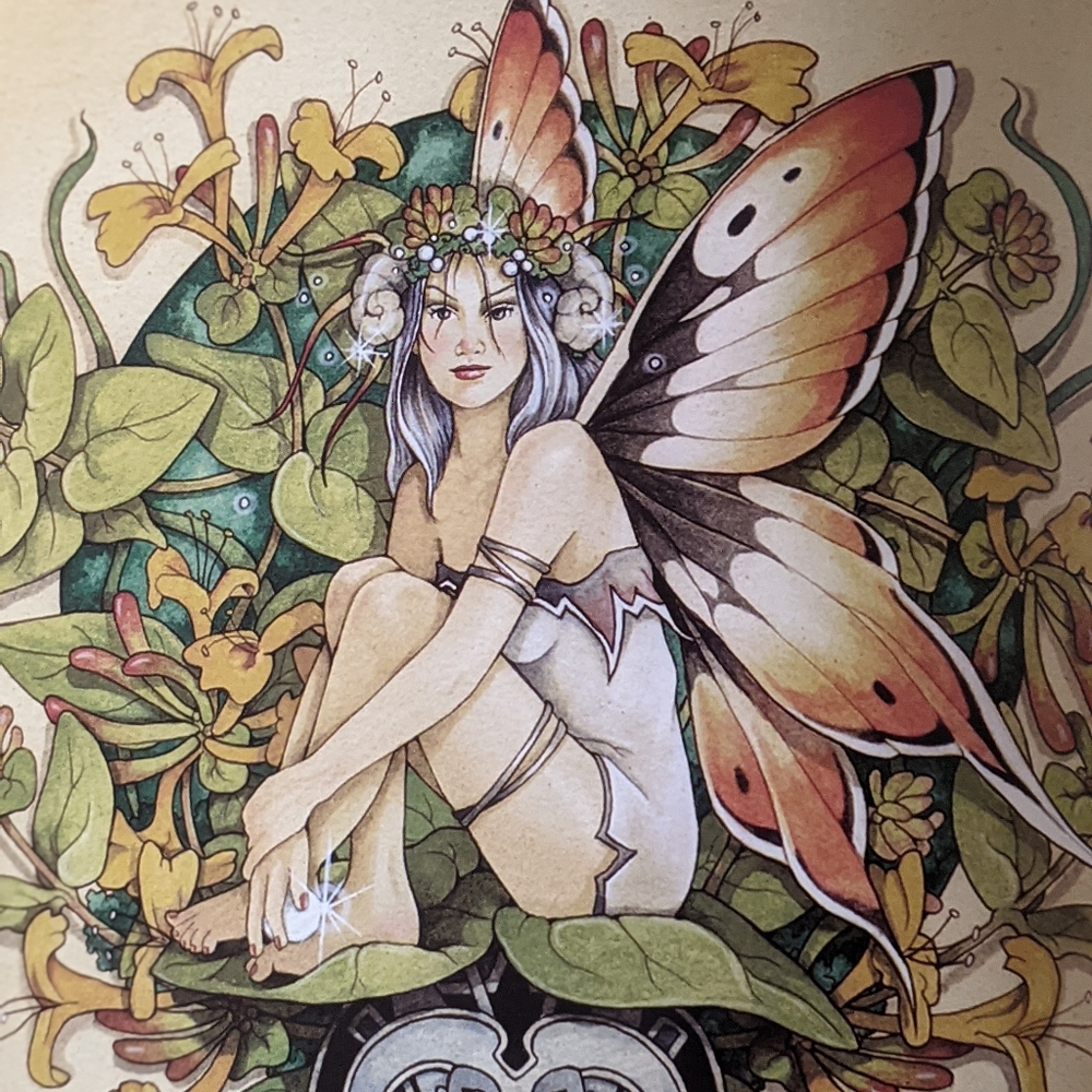 Illustrated Fantasy Fairy Book. Unusual, Magical World. Enchanted Forests